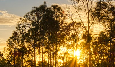 Photo of Citrus Springs