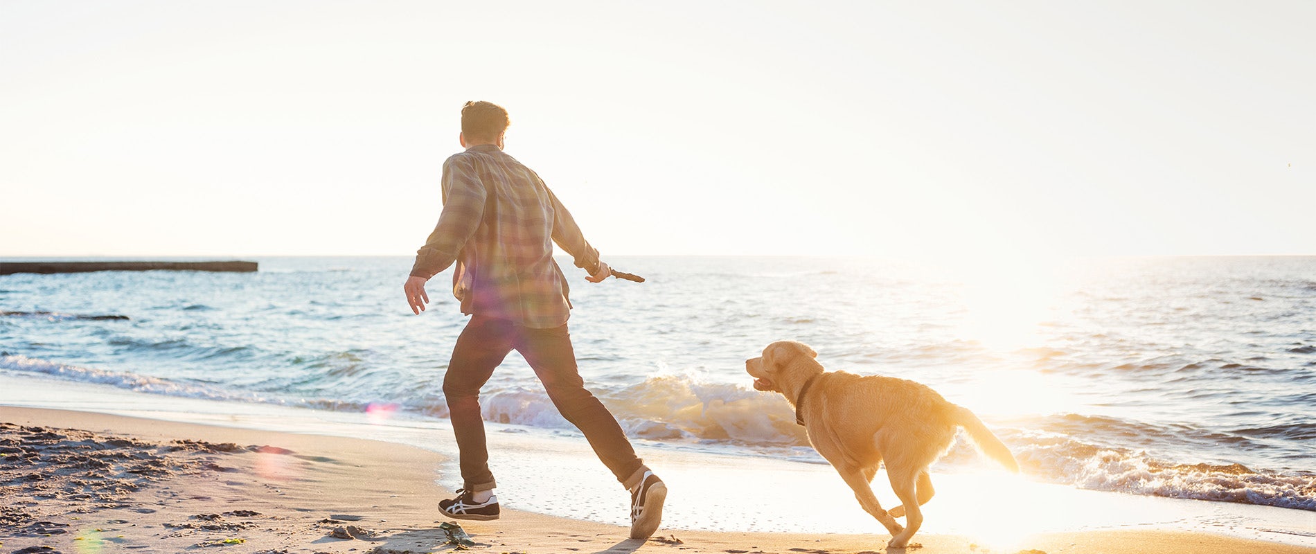 AdobeStock_92941581 Crop2.jpg