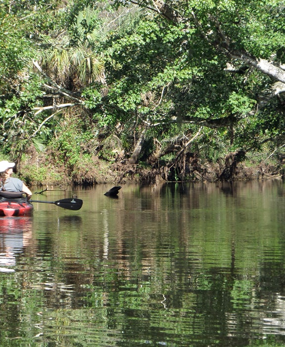 PalmBayKayaks_Peace on Earth-Cheryl Caldwell_IP_DT_1900x800.JPG